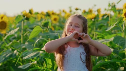 Satisfied girl show heart by gestures send kisses air. Young female stand on sunflowers field