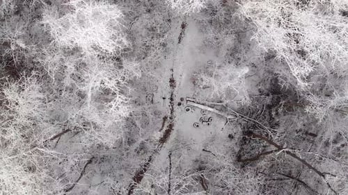 Aerial footage over snowy forest