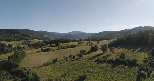 Beautiful View of Forest and Fields Aerial