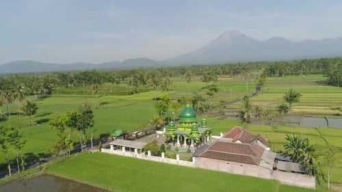 Mosque Among Rice Fields Java Indonesia