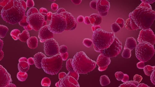 Fresh Ripe Raspberries Floating and Rotating Seamless Loop