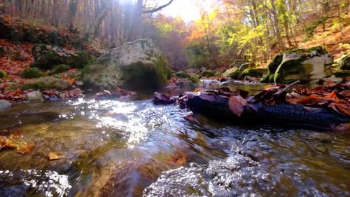 View of the River Flowing From the Mountain Waterfall