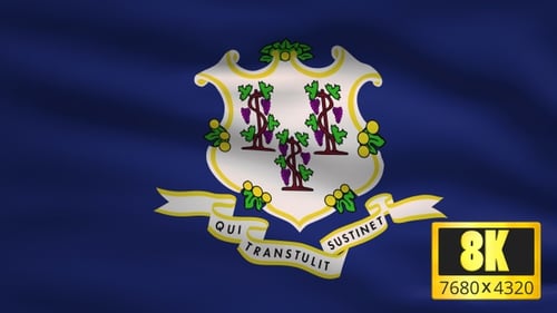 Connecticut State Flag Waving Animation