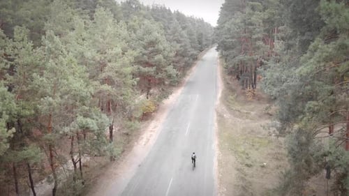 Professional triathlete cycling on bike on empty car road in forest