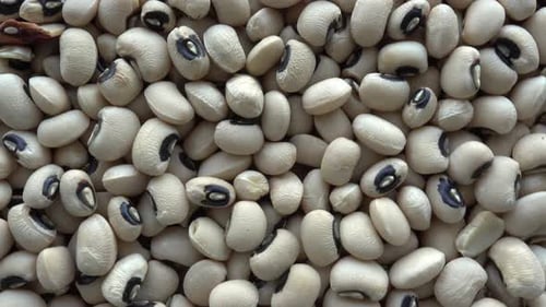Close Up of Dried Black Eyed Peas
