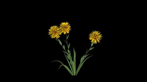 Flor amarilla en crecimiento