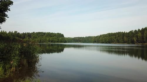 Lac White 07