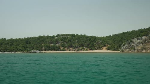 Swim and look at the lonely beach from the sea