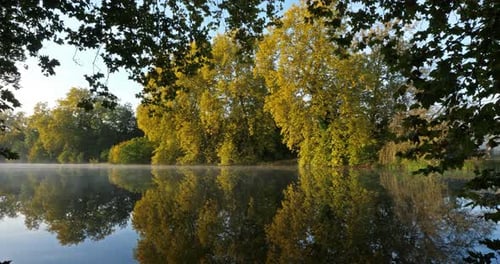 The pond Sainte Perine, Forest of Compiegne, Picardy, France.
