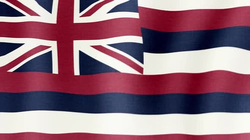 Realistic Waving Hawaii State Flag Animation