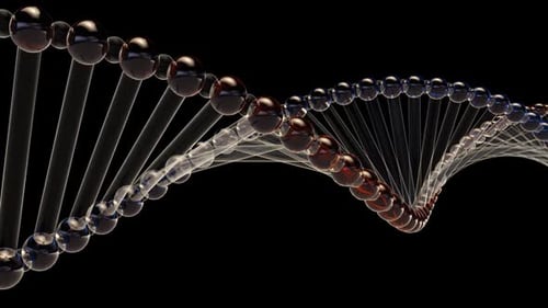 Animated Double Helix DNA Structure Rotation Loop