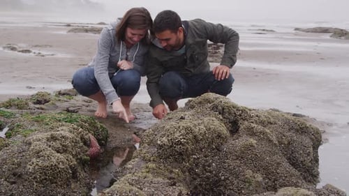 Couple looking at tide pool. Shot on RED EPIC for high quality 4K, UHD, Ultra HD resolution.