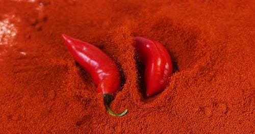 Fresh Red Chili Peppers, capsicum annuum falling on Powder of Red Chili Peppers, Slow Motion 4K