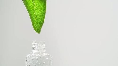 Dripping Leaf Juice Into Bottle Closeup Plant Oil