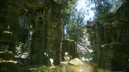 Ancienne maison en pierre en ruine envahie de plantes et de fougères dans une forêt verdoyante