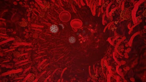 Medical Animation of Viruses and Red Blood Cells Flowing