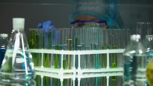 Chercheur vérifiant les sédiments dans des tubes avec des liquides d'essai, production de vitamines
