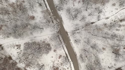 Road through the snowed forest 4K aerial footage