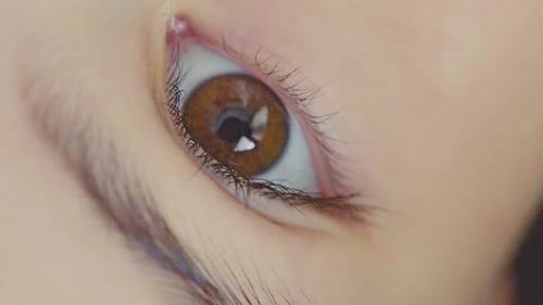 Brown Eye Extreme Close Up Detail