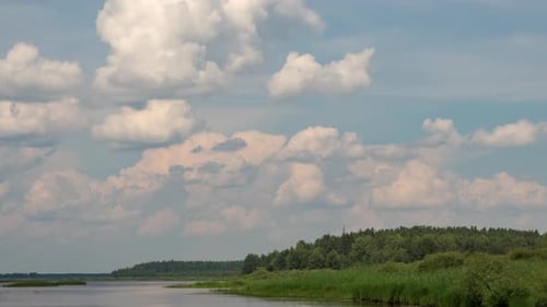 Clouds Above Lake and Green Forest