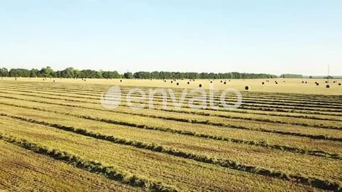 Weizenfeld nach der Ernte