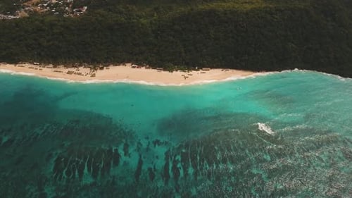 Tropical Sand Beach with Palm Trees