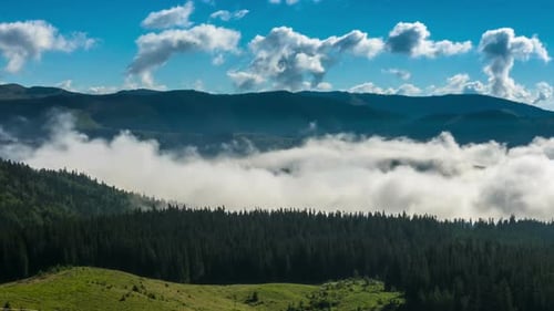 Mountain Landscape with Rolling Fog and Forest