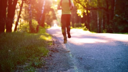 Sport Man Running at Asphalt Road. Rural City Park. Green Tree Forest and Sun Rays on Horizon.
