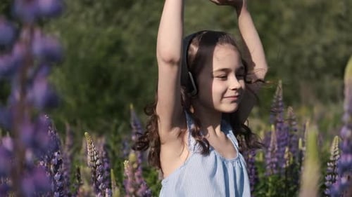 Beautiful Happy Little Girl Dancing in the Sunset on Headphones in a Blooming Purple Field of Lupins