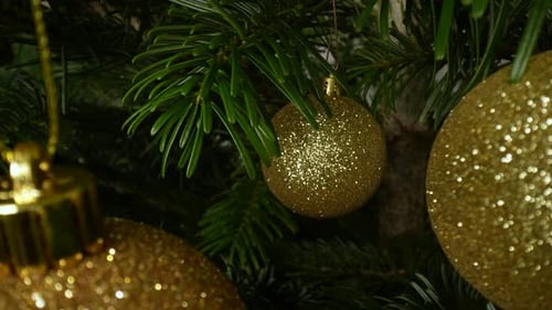 Golden Christmas Tree Ornaments and Dolly Movement