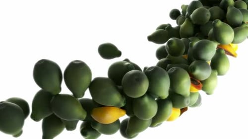 Cascading Fruits: Papayas, Lemons, Green Produce in Motion