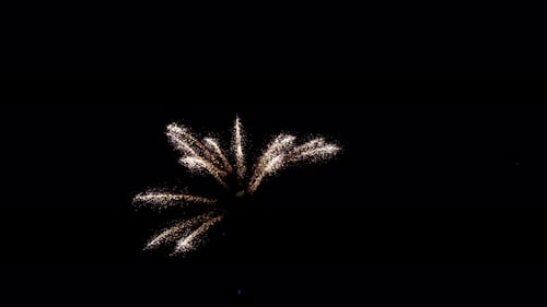 Explosive Fireworks Display Bursts at Night