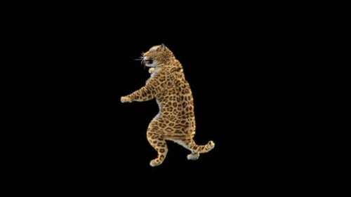80 Leopard springt nach unten HD