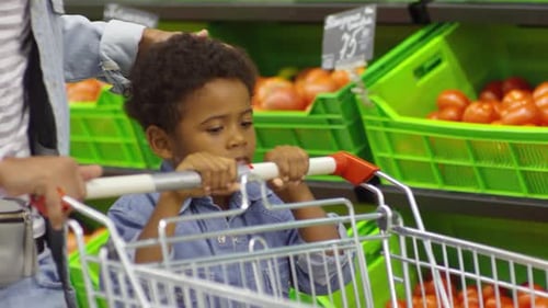 Little Boy Pushing Shopping Cart