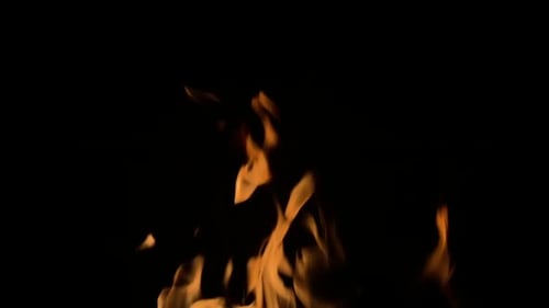 Vibrant Yellow Flames Dancing on Black Background