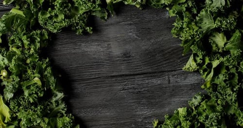 Feuilles de salade vertes composées sur bois