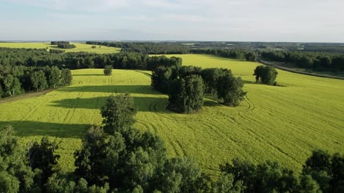 Asphalt Highway Road Among the Summer Field Under Blue Cloudy Sky