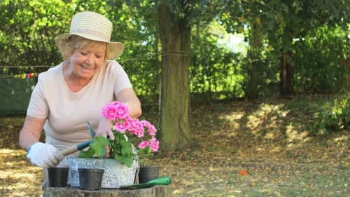 Mujer mayor haciendo jardinería en el jardín