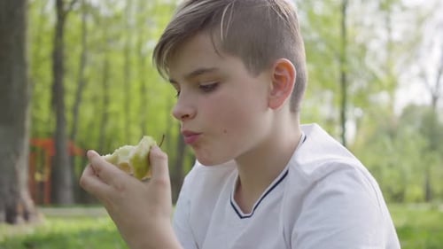 Porträt Kleiner Junge sitzt mit Kissen im grünen Park und isst einen Apfel im Freien