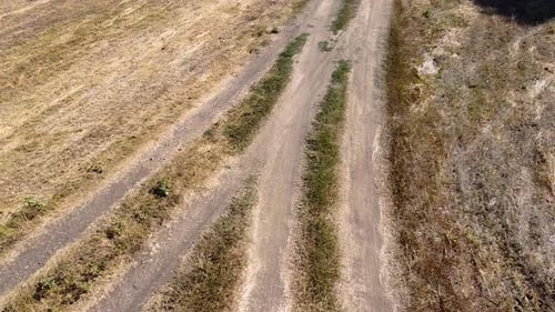 Country road among green fields