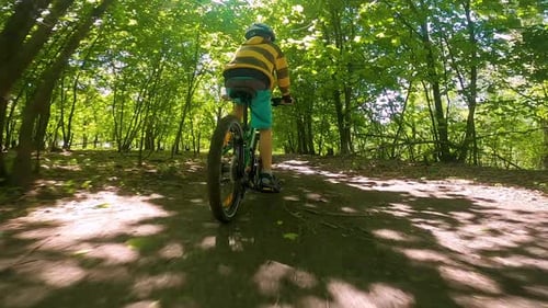 A Boy Rides a Bicycle on a Path in the Forest. The Road in the Spring Park. Children's Sport.