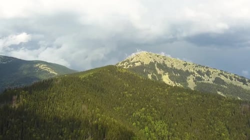 Aerial view of high mountains covered with green spruce forest in cloudy summer weather