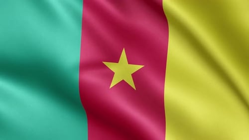 Realistic Waving Flag of Cameroon Seamless Loop Animation