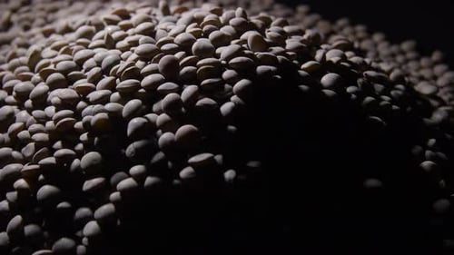 Raw Lentils Mountain