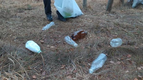 Volunteer Picking Up Plastic Bottles in Rural Area