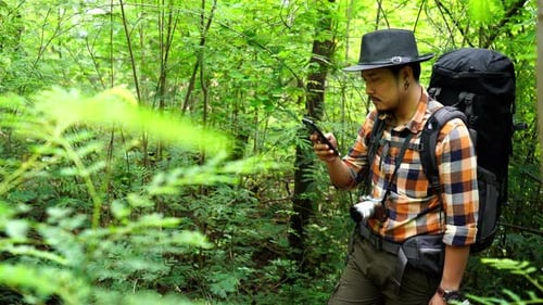 man traveler with backpack using smartphone in the natural forest
