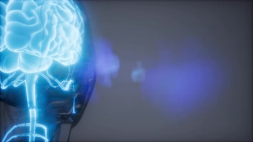 Radiologische Untersuchung des menschlichen Gehirns