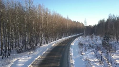 Aerial Motion Above Empty Road Among Naked Winter Wood