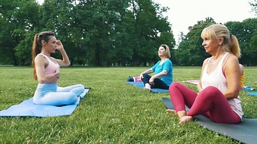 Group of senior doing training at the park