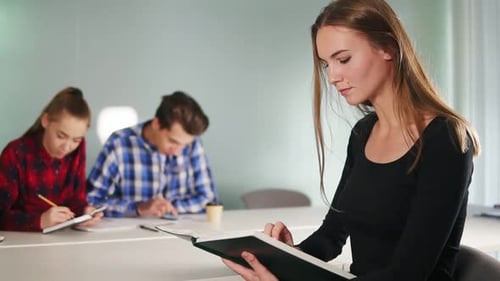 Young Adults Working Together at a Table Indoors